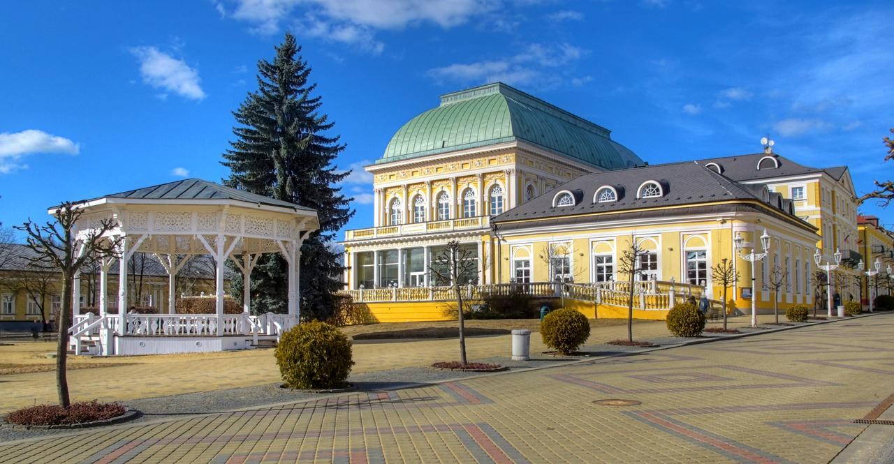 Apartment Pension Stark Františkovy Lázně Dış mekan fotoğraf